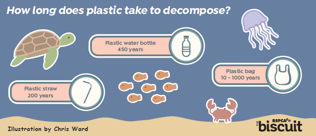 how long does plastic take to decompose